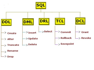 What are the difference between SQL and MySQL ? - DevOps Freelancer
